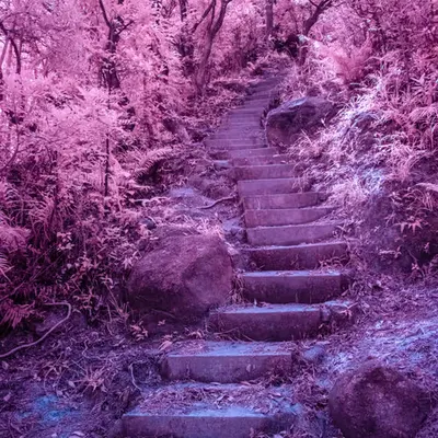 It Leads Somewhere