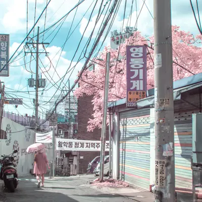 Sunlit Alleys