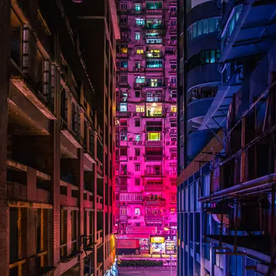 Those Nights in Macau