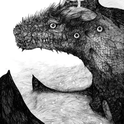 the dragon by kolahon