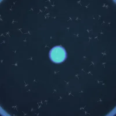 Dandelion Sky #4