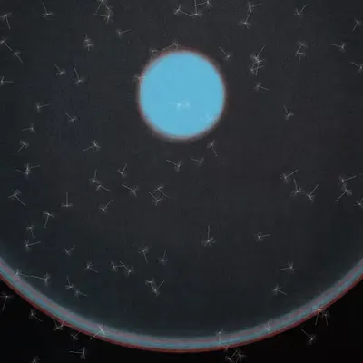 Dandelion Sky #8