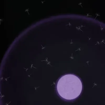 Dandelion Sky #14