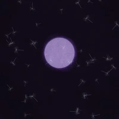 Dandelion Sky #31