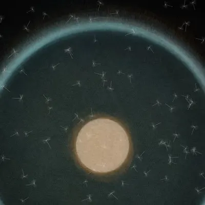 Dandelion Sky #51