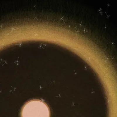 Dandelion Sky #55