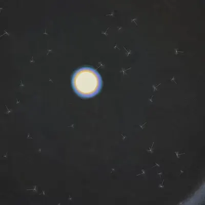 Dandelion Sky #64