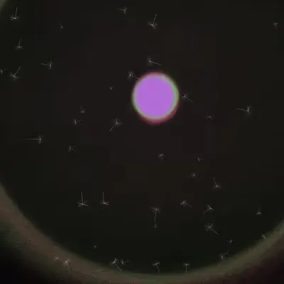 Dandelion Sky #70