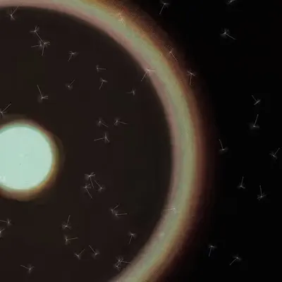 Dandelion Sky #83