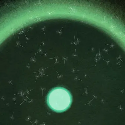Dandelion Sky #85