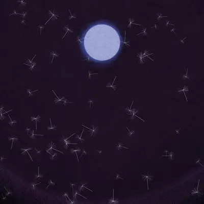 Dandelion Sky #89