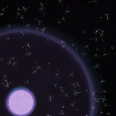 Dandelion Sky #91