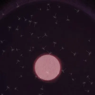 Dandelion Sky #95