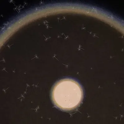 Dandelion Sky #97
