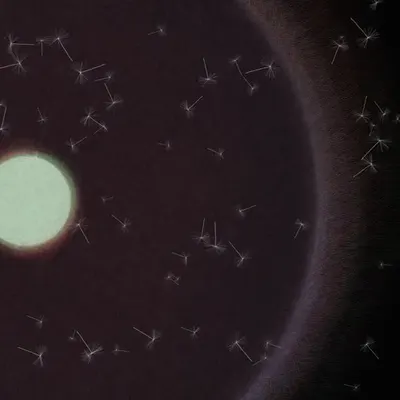 Dandelion Sky #98