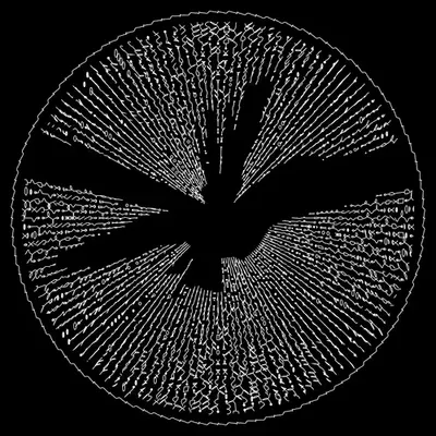 codex 110106753.