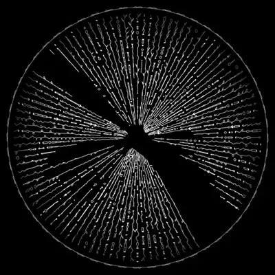 codex -1023707964.