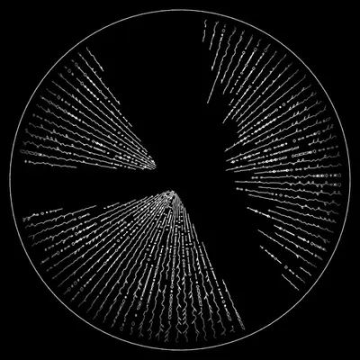 codex 2010096323.