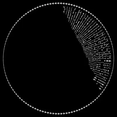 codex 1037628203.