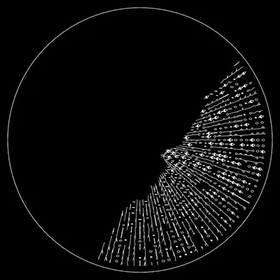 codex -1700340779.
