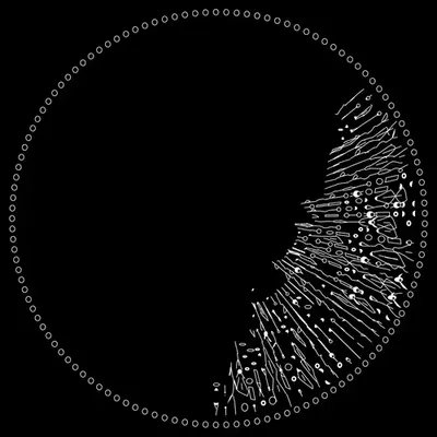 codex -19808856.