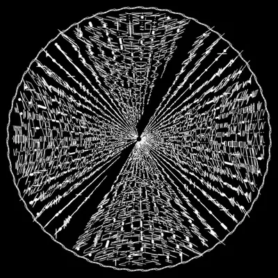 codex -1306360505.