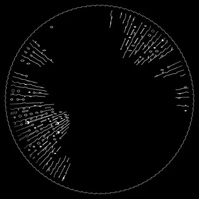 codex 1659564191.