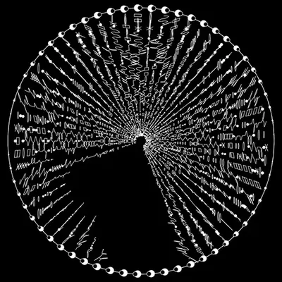 codex -1459149160.