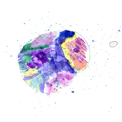 Galaxy Stars