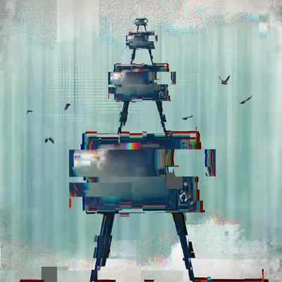 Birds and TVs