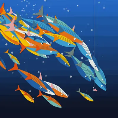 200602 Fish Race