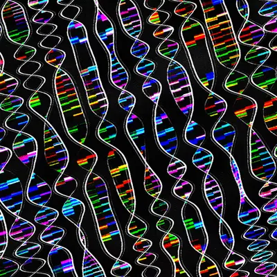 200705 DNA Mutation