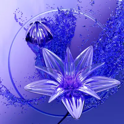 Pellucid Petals #03 - Spritz