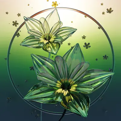 Pellucid Petals #11 - Cicoria