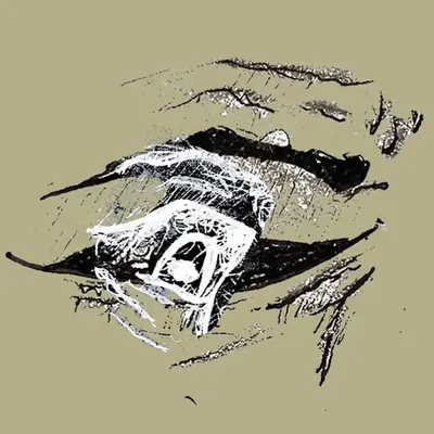 Eye's on the Mountain