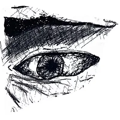 An Affordable Eye
