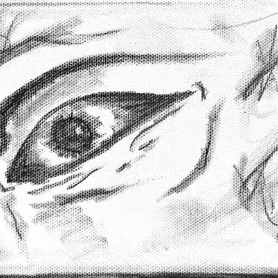 Eye Portal 08