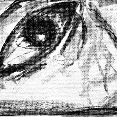 Eye Portal 11