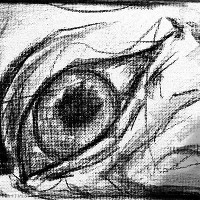 Eye Portal 12