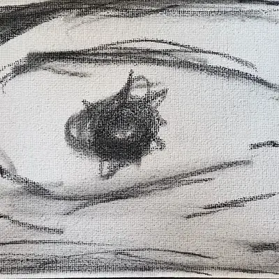 Eye Portal #18