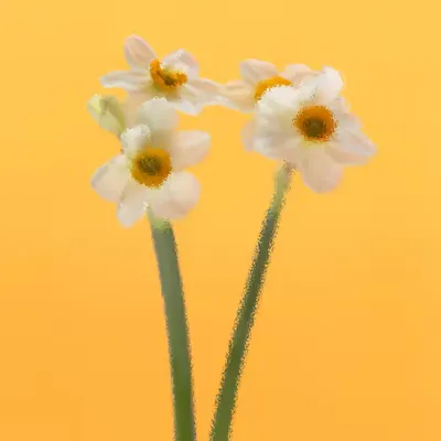 Postcard #44