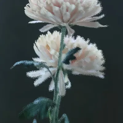 Postcard #55