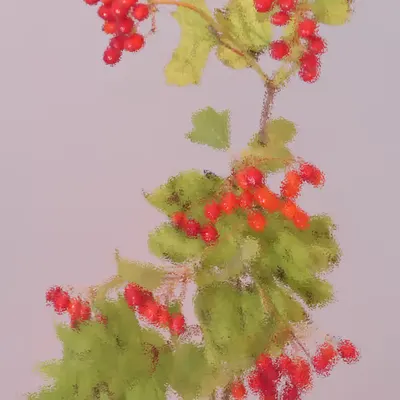 Postcard #63