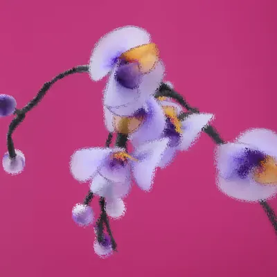 Postcard #65