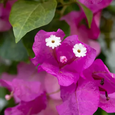 038