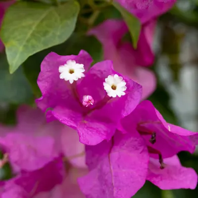 039