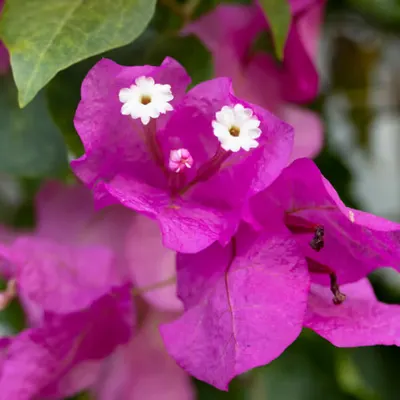 041