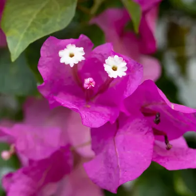 042