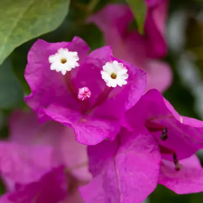 043