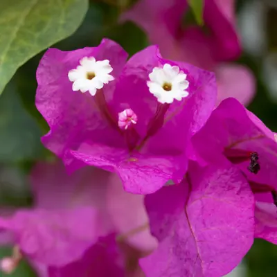 044